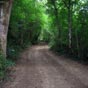 Un superbe chemin...