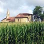 Parmi les champs de mas surgit l'glise de Sensacq!