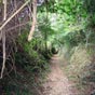 Un chemin un peu secret plein de douceur!