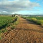 Le chemin aprs Villares de Orbigo