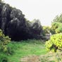 Cova de Serpe