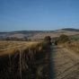 Chemin vers Espinosa del Camino