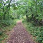 Le chemin prs du Mas de la Croix.