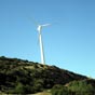 Que d'oliennes... qui semblent se dresser devant nous tel les moulins de Don Quichotte