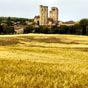 5 km aprs la chapelle nous arrivons  La Romieu.... La collgiale apparat dans toute sa splendeur!