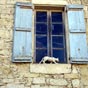 La petite ft recueillie par une voisine, et grandit avec ses enfants comme leur soeur. Angline montrait une grande attirance pour les chats. Il y en avait toujours 2 ou 3 autour d'elle qui, la nuit, dormaient dans son lit. Elle partageait souvent son cuelle avec eux. - Angline au fil des ans, devenait une solide jeune fille qui aidait bien ses parents adoptifs aux travaux des champs, toujours accompagne de ses chats. L'an 1342 et les 2 annes suivantes, l'hiver fut rude, et le printemps et l't si pluvieux qu'il ne fut pas possible d'ensemencer les champs. Il s'ensuivit une grande disette et malgr la distribution par le seigneur Arnaud d'Aux des rserves de la Collgiale, les habitants de LA ROMIEU n'eurent bientt plus rien  se mettre sous la dent. Ils pensrent alors aux chats, si nombreux dans le village, et en firent de la gibelotte.