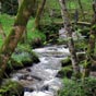 Une nature en plein panouissement...