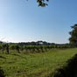 Dcouverte du premier vignoble aprs avoir quitt les Landes!