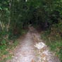 Le chemin ...