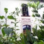 A partir de l'ancienne gare desaffecte de Bretagne d'Armagnac nous allons cheminer sur une partie du 'chemin vert' ancien trac d'une voie ferre disparue qui va servir de fil conducteur au GR65 jusqu'aux portes d'Eauze.