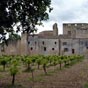 Larressingle dresse ses remparts au milieu des vignes.