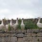 Larressingle: La prsence de ces oies rappellent que nous sommes en terre gascogne!