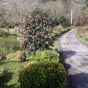 Qu'il est agrable de cheminer dans un tel environnement. Que soient remercis ces personnes qui mettent tant d'amour  entretenir un jardin luxuriant pour le plus grand plaisir des plerins.