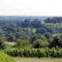 Le Juranon et ses vignobles...