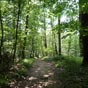 Des sous-bois agrables qui font contrepoids aux efforts lis  un dnivel consquent.