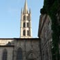 L'glise Saint-Michel-des-Lions est une des principales glises de Limoges. Elle doit son nom aux deux lions gallo-romains de pierre qui gardent son entre. C'est une glise de style gothique, construite entre les XIVe et XVIe sicles. Elle possde un typique clocher limousin (comme la cathdrale St-tienne) surmont d'une curieuse boule mtallique. L'glise conserve les reliques de saint Martial autour desquelles existe toujours un culte pris en charge par la Grande confrrie de saint Martial et la confrrie des Porteurs de la Chsse. Elle possde aussi les reliques de saint Loup et de sainte Valrie auxquels sont ddis deux confrries. Ces reliques sont conserves dans un retable construit au XIXe sicle qui clbre la vie et les miracles de saint Martial. L'glise possde aussi un riche mobilier : Deux piets du XVe sicle, deux vitraux du XVe sicle reprsentant les vies de saint Jean-Baptiste et de la Vierge Marie, une statue de sainte Valrie du XVe sicle.  