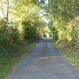 Tunnel de verdure