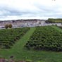 Blaye vue de la citadelle
