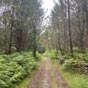 Un chemin apaisant...