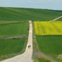 Le mme chemin que la photo prcdente aprs Azofra mais avant la priode d't!