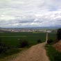 Le chemin descend maintenant vers Santo Domingo de la Calzada que nous apercevons dans notre ligne de mire ce qui nous encourage dans notre prgrination!   