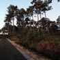 D�part de Taller t�t le matin....