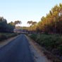 Les chemins que nous empruntons depuis notre entr�e dans les Landes sont sans surprise : beaucoup de macadam, des sols sablonneux et de longues lignes droites continues !