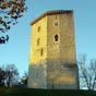Orthez : La tour matresse ou donjon a une forme pentagonale comporte quatre tages. Les tages suprieurs taient rsidentiels. Un escalier  vis plac dans l'peron de la tour permet de relier les deux derniers tages de la tour avec la plateforme sommitale. Cet escalier a d tre rajout aprs la fin de la construction de la tour. Ce changement de dispositions dans la structure de la tour a fait crire par Gabriel Andral4 que les deux derniers tages ont t ajouts par Gaston Fbus, entre 1368 et 1375, avec d'autres amliorations du logis et des enceintes, par son ingnieur militaire Sicard de Lordat.  Des fentres ont t ajoutes dans les derniers tages de la tour probablement  la mme poque car la pierre utilise est identique  celle de l'escalier et diffrente de celle de la tour. La chemine du deuxime tage est contemporaine. Son style la rattache au XIVe sicle. Une autre chemine peut dater du XVe sicle.