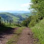 On quitte la chapelle de Soyarza et son magnifique site  regret par un chemin qui descend trs fortement...