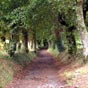 En chemin vers Furelos et Melide...