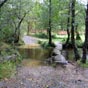 La prgrination est agrable dans un environnement calme et apaisant