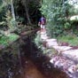 Le chemin entre Palas de Rei et Casanova