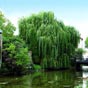 Les canaux ceinturant la vieille ville de Pamiers sont inscrits  lInventaire supplmentaire des Monuments historiques en 1999. Ds le XIe sicle, ils faisaient tourner les nombreux moulins.