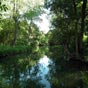 La Seugne arrose la ville de Pons dans une valle pittoresque traversant un parc amnag au pied du chteau. Paisible rivire elle a accueilli les premiers hommes et leurs troupeaux. Les terres fertiles qui l'entourent ont favoris l'implantation d'un oppidium gaulois dont les fouilles archologiques ont montr l'importance. et cela bien avant l'arrive des Romains qui ont construit la cit et sdes premiers ponts.