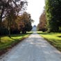 Plassac: La curiosit nous a amen  nous aventurer sur cette alle....