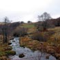 Le paysage est triste...L'ambiance est morose !