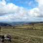 3/4 d'heure de marche aprs la domerie le climat change radicalement, il est vrai que nous descendons vers Saint-Chely-d'Aubrac et que nous allons cotoyer trs vite la valle du Lot ! 