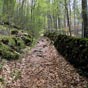Il est agrable de prgriner sur ce type de chemin...