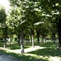Un jardin public trs agrable sur l'emplacement o se situait  la cour du chteau...