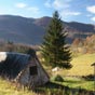 Bergerie  Les Arrious commune d'Esparros