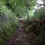 Le chemin avant Calvor