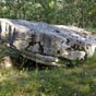 Brengues: Le dolmen des Fourques  Basses.