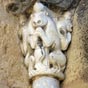  Des animaux hybrides  tte de cheval et serres d'oiseau.
