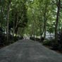Il fait bon flner  Tours notamment sur le Boulevard Heurteloup particulirement ombrag en priode d't...