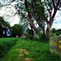 Le chemin entre Goiriz et Vilalba