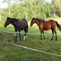 Une rencontre fort agrable...