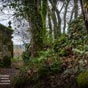 Soutomerille:C'est ici que se trouve l'un des lieuxles plus symboliquedes Chemins de Saint-Jacques en Galice: une petite chapelle avec une jalousie prromane dont l'origine remonte aux premiers sicles du plerinage.