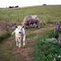 Une rencontre inattendue...