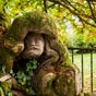 Baamonde: Un chataignier plusieurs fois centenaire  a son intrieur sculpt par l'artiste local Victor Corral...