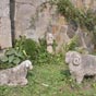 Des sculptures dans le grs...
